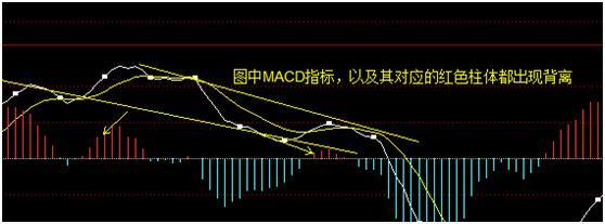 MACD红柱、绿柱都是什么意思？我用它逃过了股市中的韭菜定律