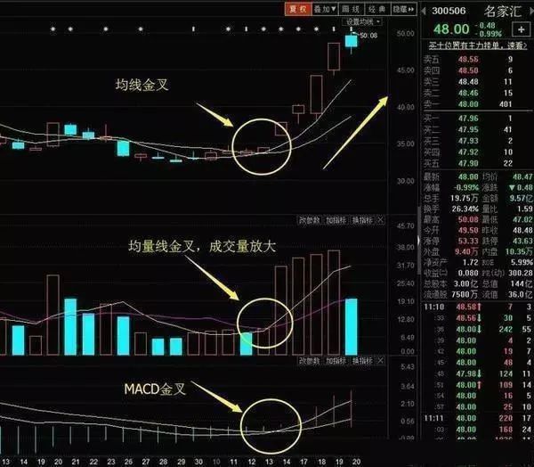 MACD底部黄金买点 三线金叉，买入次日就封板，主力给你抬轿