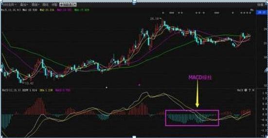 MACD红柱、绿柱都是什么意思？我用它逃过了股市中的韭菜定律