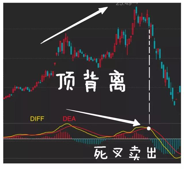 MACD红柱、绿柱都是什么意思？我用它逃过了股市中的韭菜定律