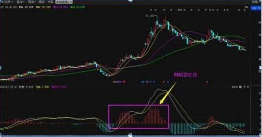 MACD红柱、绿柱都是什么意思？我用它逃过了股市中的韭菜定律